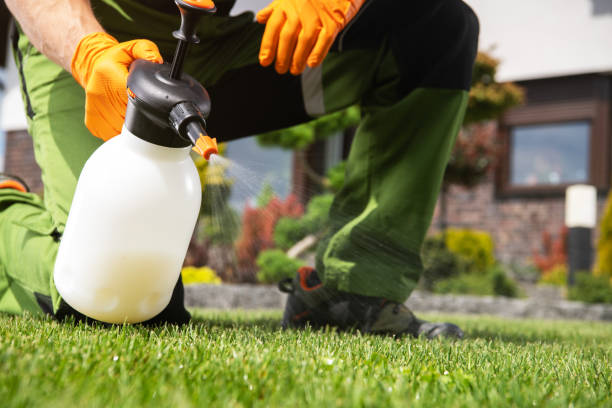 Wasp Removal Services in Blooming Prairie, MN